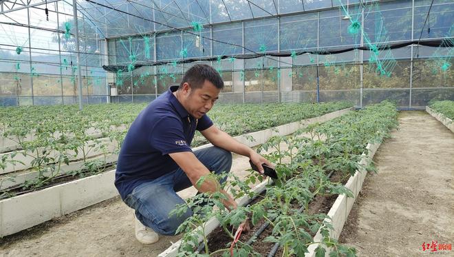 成都有需必应！他启动新一轮创业把农场从成都开到了川西丨有需必应第一线