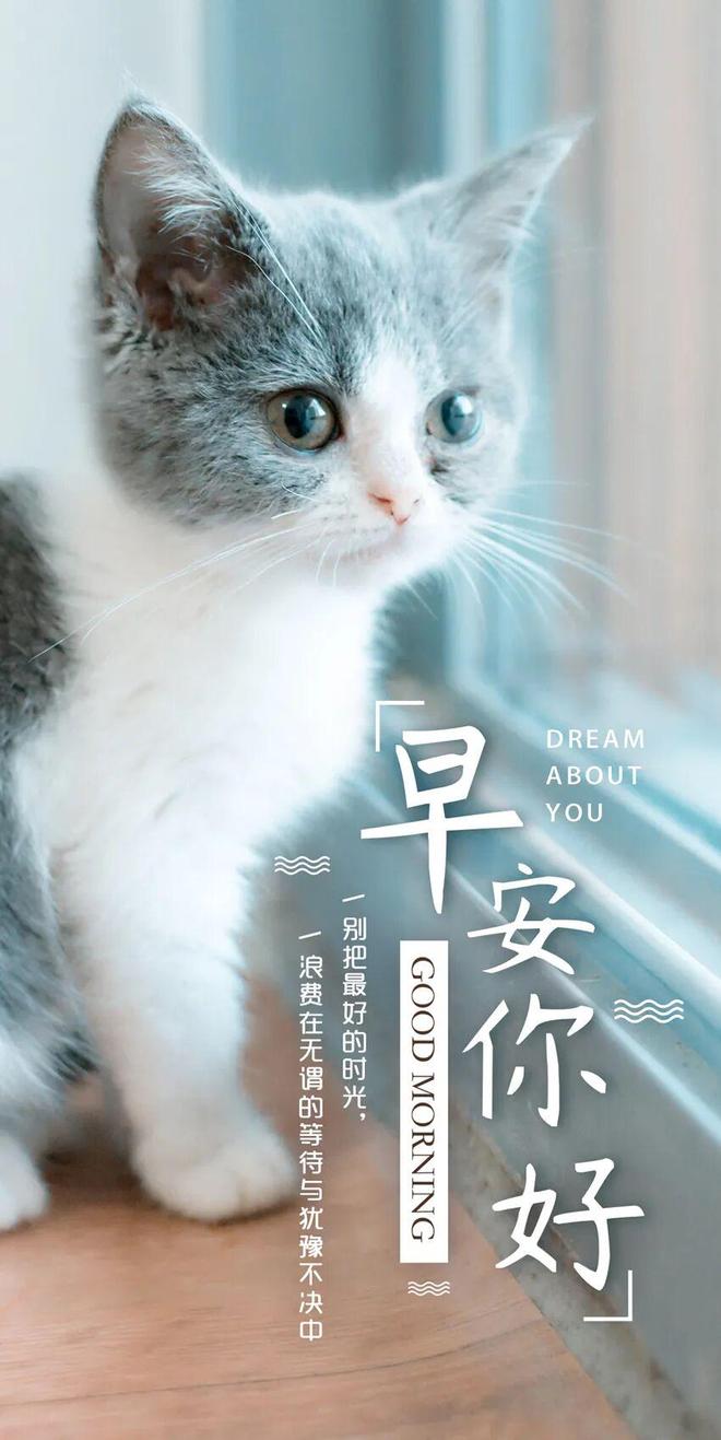 早安正能量励志语录生活就像一杯白开水心态决定味道